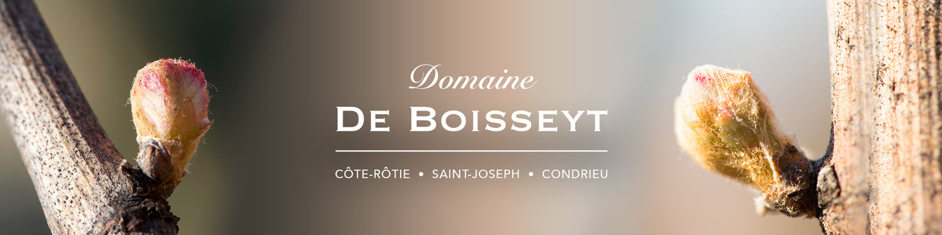 Domaine De Boisseyt