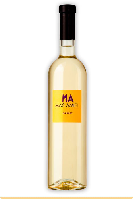 <span style='font-weight: bolder'>Muscat 2022 </span><br><small style='color:grey'>Vin Doux Naturel - AOC Muscat de Rivesaltes</small>