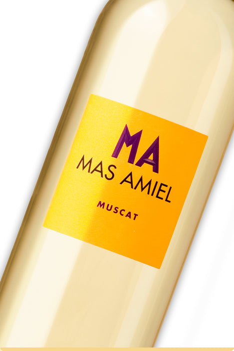 <span style='font-weight: bolder'>Muscat 2022 </span><br><small style='color:grey'>Vin Doux Naturel - AOC Muscat de Rivesaltes</small>